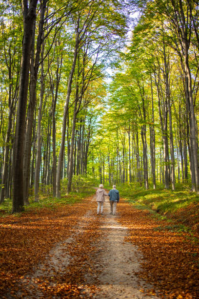 istock Senior couple enjoying nature 1502419952