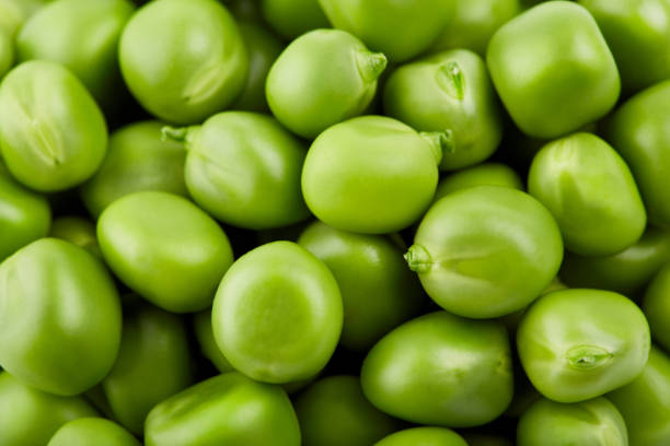 fresh green pea pod with beans isolated on white background. - green pea pea pod salad legume imagens e fotografias de stock