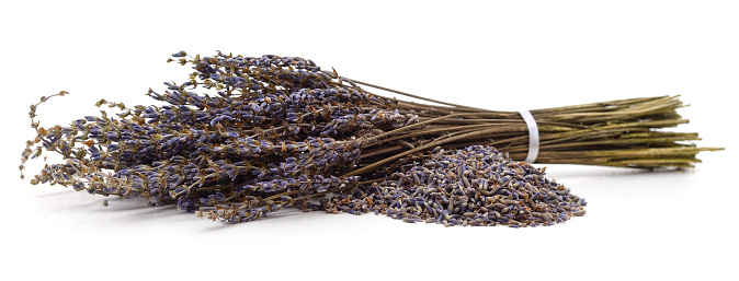 A bunch of dried lavender isolated on a white background.