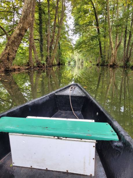 istock boat on the poirtevin marsh 1502422529
