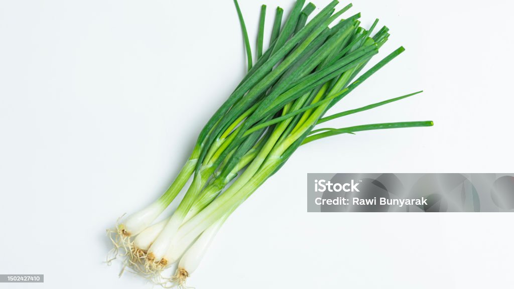 평면도 흰색 바탕에 파 리크에 대한 스톡 사진 및 기타 이미지 - 리크, 골파, 양파 - iStock