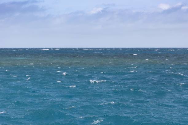 istock Landscape view of Moore Reef - Great Barrier Reef Pacific Ocean 1502427954
