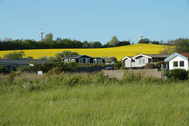 特徴的なデンマークのサマーハウスエリア - windmill cultivated land crop day ストックフォトと画像