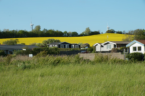 A picturesque and romantic photo of summer houses, grass, flowering rapeseed fields, blue sky and windmills