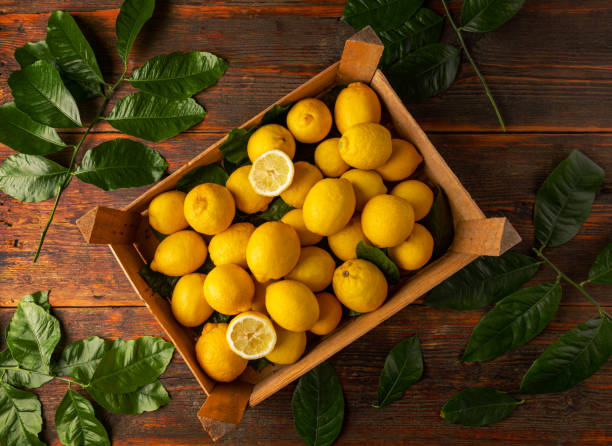 istock Top view of ripe lemons 1502429809