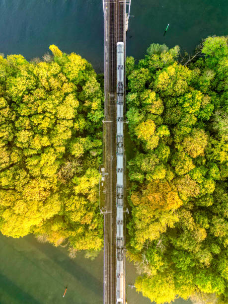 istock Regional train (RER) passing over the Seine river near Paris 1502429916