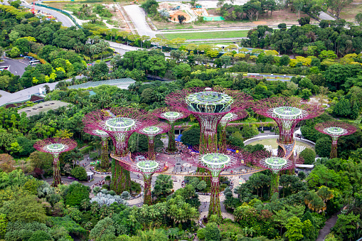 Marina Bay, Singapore - September 3, 2022 : Aerial View A Famous Garden In Singapore.