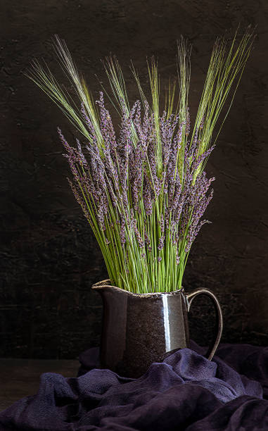 a bouquet of dried flowers of cereals lavender on a white background