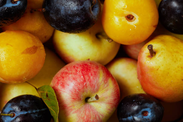 istock autumn background with apples, pears and plums 1502433443