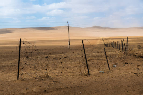 istock Sandstorm on the field in Mongolia 1502452922