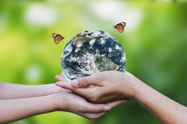 istock Environment day and earth day concept. Two human hands holding earth globe with butterfly flying over the world. Demonstrates care and save for the world. Elements of this image furnished by NASA. 1502453740