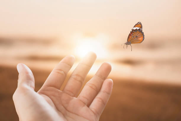 istock A delicate butterfly flew to the hand. 1502454268