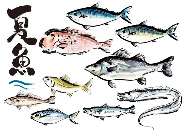 Vector illustration of Hand-painted Japanese-style materials Summer season fish set