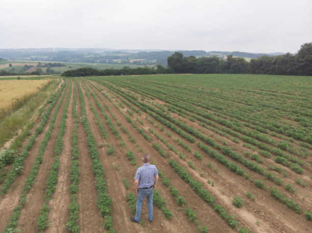 istock Agriculture small business 1502457425
