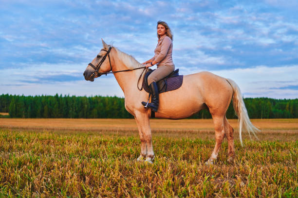 istock Horseback riding across the meadow during sunset time 1502458170