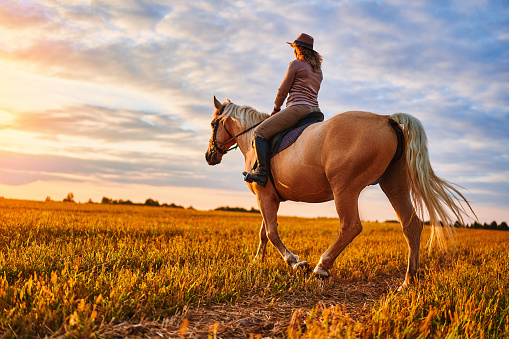 Horseback riding across the meadow during sunset time