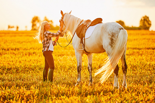 Young cute happy joyful satisfied smiling woman hugging and stroking beautiful white horse at meadow at sunset at golden hour