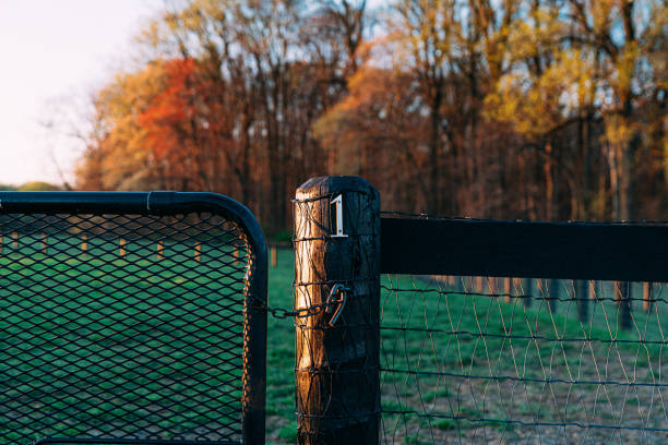 Entrance Gate and Post for Field Number One on a Ranch in the Northeast USA at Sunrise in Early Spring at a Horse Training Facility