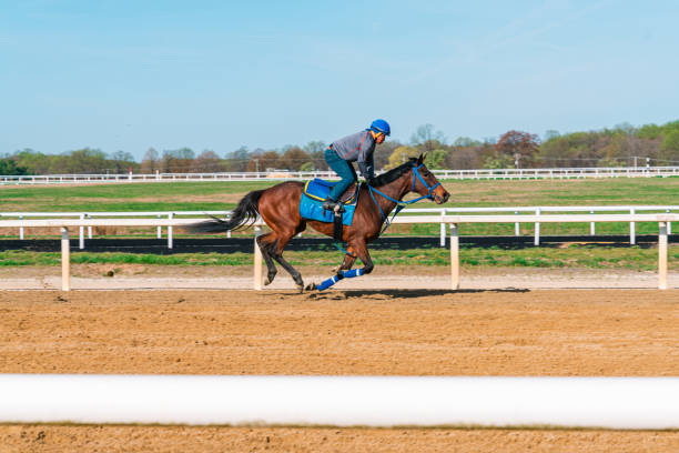 istock Jockey Breezing a Thoroughbred Race Horse on a Practice Track 1502461874
