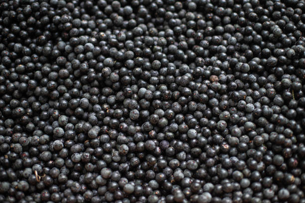 istock Top view of acai fruit 1502466815