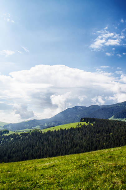 istock Mountains are a great trekking holiday 1502476543