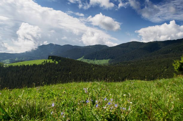 istock Mountains are a great trekking holiday 1502477186