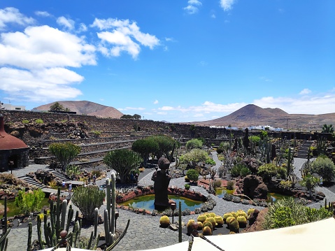 General view of the Cactus Garden. A garden with 4,500 specimens of cacti of some 500 species from the five continents. Work of César Manrique in Lanzarote.