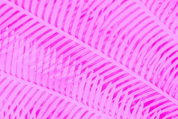 istock Pink fuchsia abstract background with palm leaves pattern 1502500878