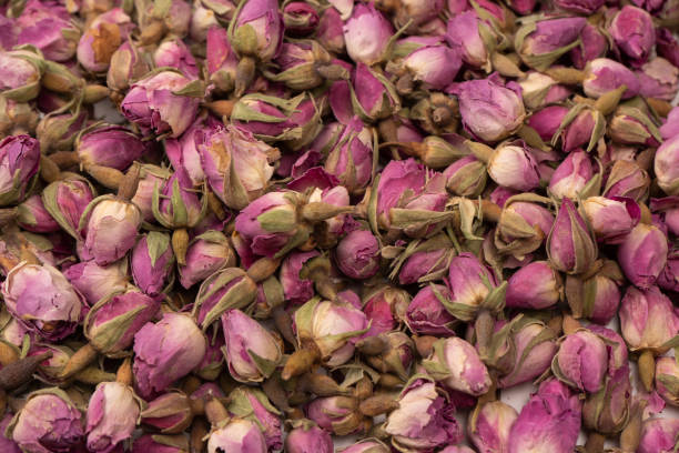 istock Dry tea roses isolated on white background. 1502535413