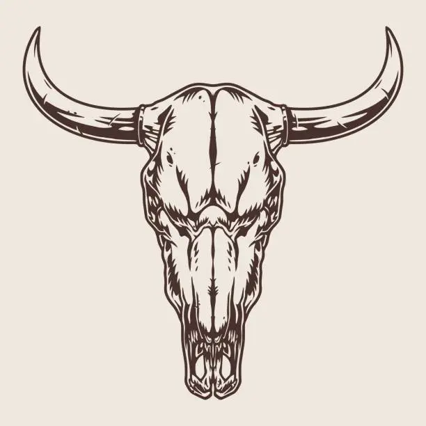 Vector illustration of Bull skull vintage emblem monochrome