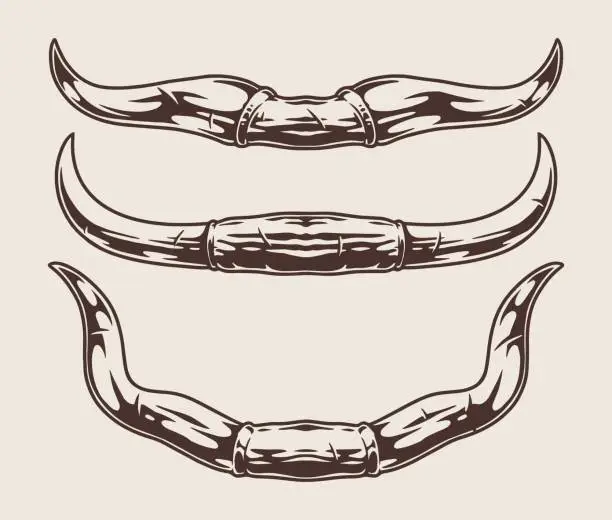 Vector illustration of Bull horns set emblem monochrome