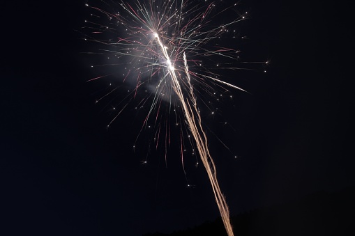 A closeup of a vibrant firework display in the night sky