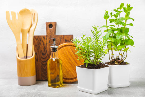 istock Assorted fresh herbs growing in pots against the backdrop of a kitchen interior. Green basil, mint. oregano, thyme and rosemary. Mixed fresh aromatic herbs in pots.Set of culinary herbs.Copy space. 1502537887