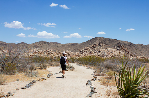 Young man walks the Arch Rock Trail in Joshua Tree National Park, California, USA. May 2023