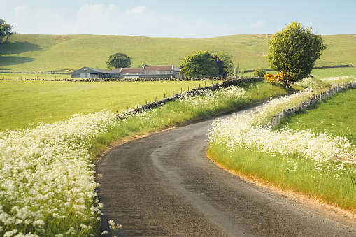 Winding country road to a rural farmhouse through rolling countryside landscape of Lomond Hills Regional Park, Fife, Scotland, UK on a sunny summer day.