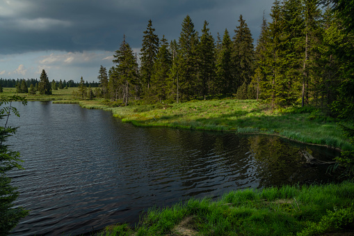 Mrtvy pond in Krusne mountains in north Bohemia in summer sunny evening