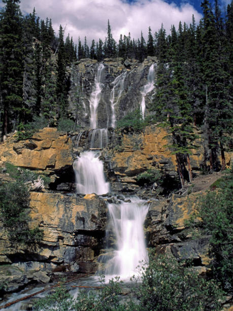 ramble creek falls, icefield parkway, alberta, canadá - ramble - fotografias e filmes do acervo