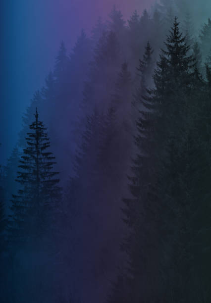 Trees and Colorful Smoke , fog Landscape Backdrop