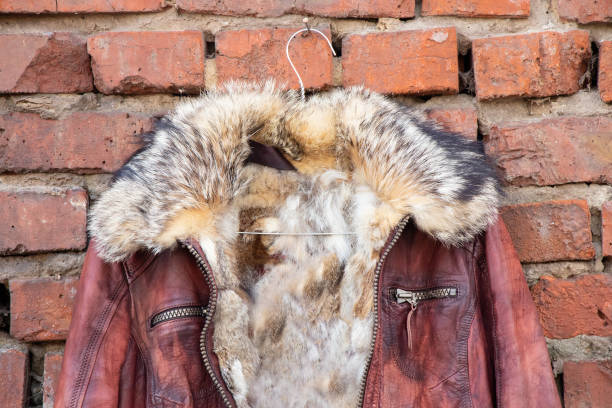 giacca da donna invernale in pelle di pelliccia rossa appesa a una gruccia su un vecchio muro di mattoni all'aperto durante il giorno, abbigliamento - brick red wool heat foto e immagini stock