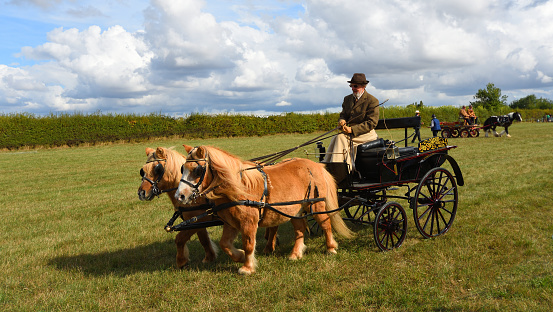 Williamsburg, VA, USA - September 29, 2020: Tourists are enjoying horse drawn carriage ride in Williamsburg, Virginia, USA.