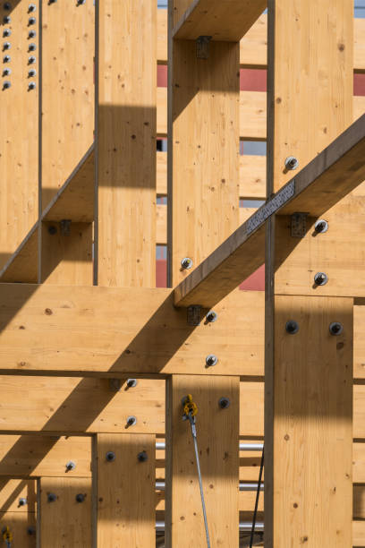 istock Construction of new wooden house 1502563317