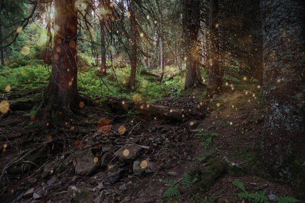 istock Tree trunks, green fern, moss and shiny glowing fireflies in summer forest road. 1502563379