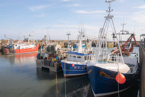 Colorful fishing boats in the port of Paimpol in Bretagne, France during summer.