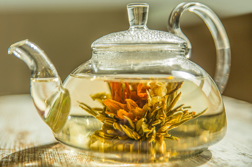 Blooming tea flower drowned in a teapot