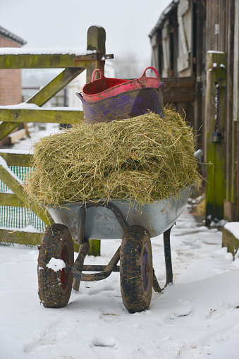 Feed time on the farm, wheelbarrow loaded with hay and buckets of feed ready to be pushed to the feed to feed the horses on a cold snowy winters day in rural Shropshire.