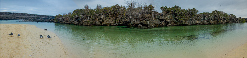 A lagoon on Tower or Genovesa Island,  Galapagos Islands National Park. Ecuador. Panorama of water and volcanic rocks and sand beach.