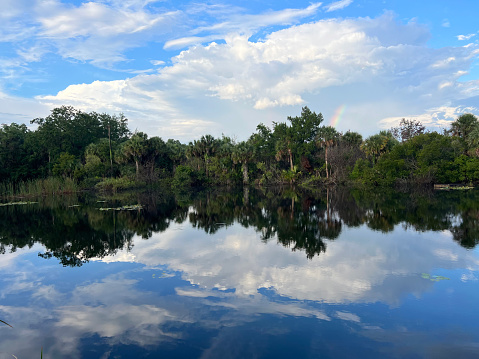 Florida wetlands at sunset.