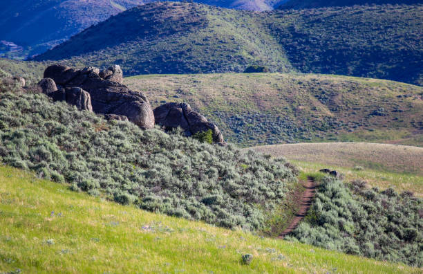 istock Foothills above Boise, Idaho in early summer 1502570786