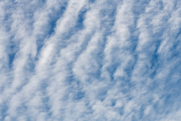 Blue sky with white soft ripples of cloud cover Blue sky with stratus cloud cover on an Autumn Day in Australia. stratus clouds stock pictures, royalty-free photos & images