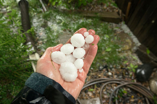 Wet with rain, a hand with raincoat sleeve holds large hail in Littleton, Colorado during a large thunderstorm that also spun-off a F-1 tornado further east on June 22, 2023.